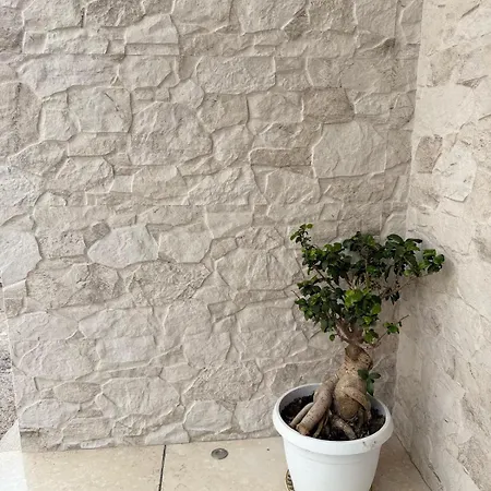 Haska Сasa de vacaciones Sampieri